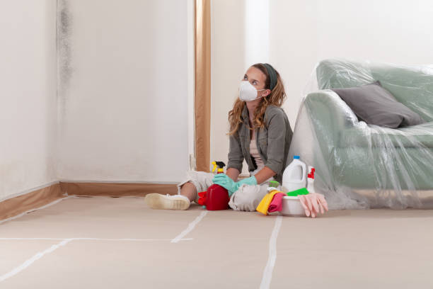 Reliable Mold Testing contractor in Unionville, GA by WQB Mold Removal